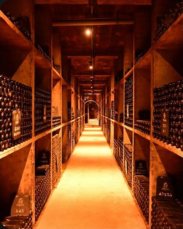 A long, warmly lit wine cellar corridor lined with bottles